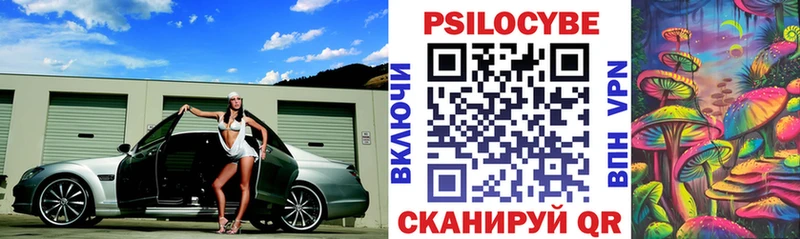 Псилоцибиновые грибы Psilocybine cubensis  Городище 